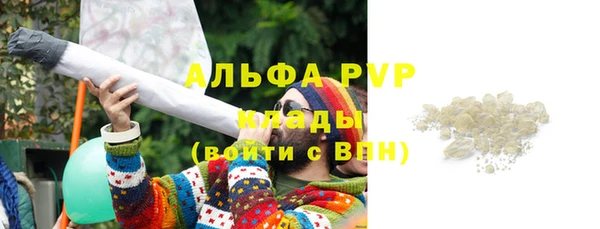 индика Алексеевка