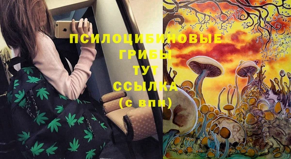 прущие крисы Арсеньев