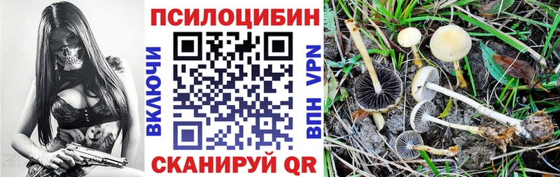 Псилоцибиновые грибы GOLDEN TEACHER  Заполярный 